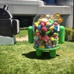 It’s Official – No Flash Support in Android 4.1