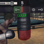 Real Boxing
