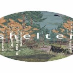 Shelter Release Date