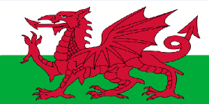 Welsh Representation in Gaming Welsh Representation in Gaming